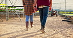 Agriculture, people and back walking in greenhouse for plant inspection, quality control and harvest check. Man and woman in crop field for sustainable farming with growth and vegetable production