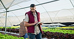 Farm, clipboard or businessman writing in greenhouse for plant growth, inspection or checklist in nature. Agriculture, sustainability and agro manager with documents for botany, compost or inventory