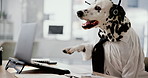 Call center, headset and dog in office with laptop for consulting, questions or animal insurance or cover. Telecom, agent or Dalmatian puppy online with pc for customer support, help desk or pet care