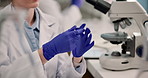 Science, person and hands with gloves for protection from bacteria, safety and medical experiment. Closeup, scientist and rubber latex for pharmaceutical development, investigation and study in lab