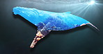 Whale, double exposure and sea environment in nature with fish, coral reef and marine life with sustainability. Mammal, humpback animal and underwater for ecosystem, habitat or conservation for ocean