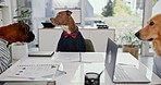 Dogs, call center and meeting with telemarketing, customer service and support with costume. Funny, collaboration and cosplay in an office with headset of animal consultant with pets in workplace