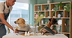 Restaurant, menu and dogs sitting for dinner, lunch and national pet month for celebration. Fine dining, animal couple and waiter for hospitality, serving or pet service with food choice document