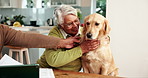 Old couple, dog and stroke for love in home, paperwork and support for tax or asset management. People, pet and affection for animal in kitchen, documents and together for insurance or planning