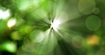 Bokeh, flares and green with particles in pastel colorful  background with light. Imagination, glitter and shine with textured pattern as wallpaper or abstract with bubbles or circles and blurry