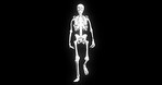Hologram, motion or skeleton walking for medical information, research or biology for human body. Model structure, simulation and science of anatomy on black background for diagnosis, design or bones