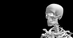 Skull, dark and skeleton walking for medical information, research or biology with design of human body. Head structure, cranium or science of anatomy on black background for diagnosis, 3d or bones