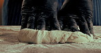 Hands, chef and kneading pizza dough for baking, cooking and catering in restaurant kitchen closeup. Bread, person and shape flour for production process, meal prep and manufacturing Italian cuisine