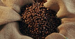 Bag, pouring and caffeine or coffee beans to harvest for production and supply for beverage product. Person, fresh and roasted grains for food or chocolate with natural, organic and healthy flavor