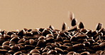 Organic, texture and roasted beans for coffee production with sustainable granules in studio. Natural, caffeine grains and explosion of fresh brown seeds for beverage of espresso, latte or cappuccino