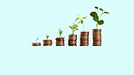 Coins, financial growth and investment with plants, money and savings with budget, increase and inflation. Economy, cash and natural revenue with accounting, stock market and banking with planning