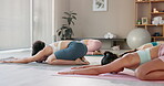 Yoga, group and women with stretching in class for body flexibility, mindfulness and holistic healing. Zen, peace and people with exercise on floor for wellness, self care and awareness of posture