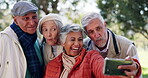 Senior, people and happy in park for selfie with friendship, funny face and vlog for community memories with humor. Elderly men and women together in garden for streaming or bonding with photography.