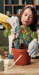 Woman, flower and cultivation with tools, home garden or maintenance for horticulture or feng shui. Female person, transplant and botany in house for balance, harmony or decor with sustainable design
