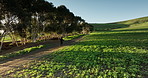 Fast, countryside and person on bike in field for sustainability, travel and sports in natural environment. Nature, speed or rider on dirt path trail for challenge, race and transportation in Italy