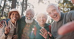 Senior group, selfie and happy for hiking, peace sign or excited for memory, diversity and face in forest. Mature people, smile and together in woods with social media, wave and solidarity in Italy