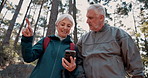 Senior couple, smartphone and hiking with direction, point or search for path, landmark and talking in forest. Mature man, woman and trekking with phone, lost and check digital map on app in Italy