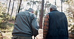 Back view, senior or men hiking in forest for outdoor adventure or journey for travel in nature or woods. Friends, people or walking on path for exercise, holiday vacation trip or trekking to explore