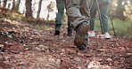 Back, legs or friends in woods walking for outdoor adventure or journey for travel in nature or forest. Stick, hiking path or friends on vacation holiday for exercise, trip or trekking to explore