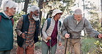 Senior people, diversity and hiking with nature, plants and conversation for indigenous knowledge. Group, outdoor and countryside with old men, mature women and discussion with wellness and activity