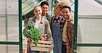Farm, agriculture and face of people with vegetables, harvest or fresh produce in crate. Sustainability, greenhouse and happy farmers with teamwork, collaboration and organic, natural or healthy food