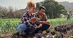 Tablet, agriculture and farmers with vegetables, harvest or fresh produce discussion. Sustainability, field and people with teamwork, research and organic, natural or healthy food conversation