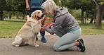 Senior, woman and high five dog in park for training success, kissing for reward with comfort. Couple, pet and golden retriever for morning fitness, celebration and stroke for bonding in neighborhood