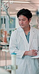 Clipboard, checklist and research with Japanese man in laboratory for medical, science study or innovation. Healthcare, vaccine report and test with asian person for inventory, notes and results