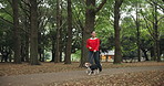 Walking, happy and Asian woman with dog in park with pet leash for fresh air, adventure and exercise. Fitness, animal care and Japanese person with Beagle in nature for wellness, health and travel