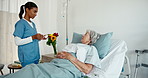 Medicine, caregiver and prescription for old woman, healthcare and talking for diagnosis and helping. Medical professional, nurse and consultation for elderly patient, people and recovery in clinic