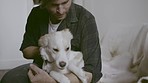 Cute, love and man playing with his dog on a sofa in the living room of his modern home. Sweet, playful and young male person spending time with his puppy, pet or animal in his apartment or house.