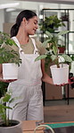 Business woman, florist and plants with scanner for pricing, inventory or checking stock at agro store or shop. Female person, environmentalist or pot with leaves for garden design, purchase or order
