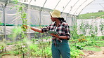 Inspection, farmer and woman with tablet, greenhouse and preparing for harvest with tech or sustainability. Nature, online and monitoring crop health in environment, growth and black person with info