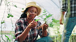 Herb, smell and smile with black woman in farm greenhouse for agriculture, inspection or sustainability. Growth, plant and satisfaction with happy farmer person checking crop progress in countryside
