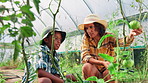Greenhouse, mother and son with sustainability, agriculture and conversation with environment. Family, mama or boy with help, tech or teaching with vegetables, countryside or eco friendly with tablet
