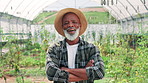 Crossed arms, black man and face of farmer in greenhouse with pride for agriculture, sustainable or agro business. Nature, confident and portrait of male person with produce production in countryside