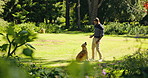 Park, playing and man with ball for dog for exercise, training and adventure together outdoor. Pets, animal care and owner with happy Golden Retriever in nature for wellness, health and fitness
