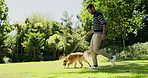 Happy, walking and man with dog in park for adventure, training and exercise together outdoor. Pets, animal care and owner bonding with Golden Retriever in nature for wellness, health and fresh air