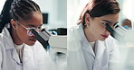 Women, microscope and research in laboratory, collage and team with medical science for vaccine development. People, tools and lens for clinical study, virus or bacteria at pharmaceutical company