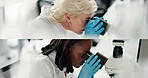 Women, scientist and microscope in laboratory, collage and team with medical research for vaccine development. People, tools and lens for clinical study, virus or bacteria with pathogen with profile