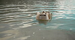 Pollution, garbage and box in water at beach for poor waste management and illegal trash disposal. Nature, rubbish and egg carton floating in ocean for litter problem, crisis and environmental hazard