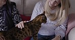 Senior woman, cat and pet care while on home sofa to show love, kindness and trust during quality time. Happy animal owner and family on couch to relax with calm fluffy kitten with health insurance
