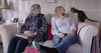Senior woman, daughter and cat relax on sofa talking, bonding and sitting in living room together in house. Family, animal pet and visit mother in a retirement home while relaxing on couch in lounge