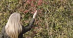 Plant checking, farm research and agriculture expert with a leaf in countryside for ecology field data. Sustainability, eco friendly and plants genetic scientist doing work for farming growth study