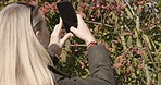 Nature, cellphone and girl taking a picture of a plant while walking in a garden or field in summer. Technology, freedom and woman taking a photo on phone while on an outdoor adventure on vacation.