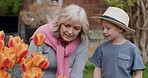 Woman with boy working in garden or backyard with grandmother. Senior woman and child with plants for sustainability, love and nature with family outdoor, gardening flowers  at home