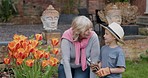 Woman with boy working in garden or backyard with grandmother. Senior woman and child with plants for sustainability, love and nature with family outdoor, gardening flowers  at home
