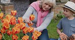 Woman with boy working in garden or backyard with grandmother. Senior woman and child with plants for sustainability, love and nature with family outdoor, gardening flowers  at home