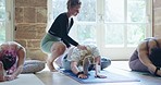 Yoga class, fitness and personal trainer, people workout and health with wellness at exercise studio. Pilates, healing and active group with training in sportswear, healthy body and physical activity