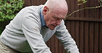 Old man, gardening and secateurs for flowers, gloves and hobby for retirement, yard or gardener. House, nature and outdoor for agriculture, growth and free time for home improvement or maintenance